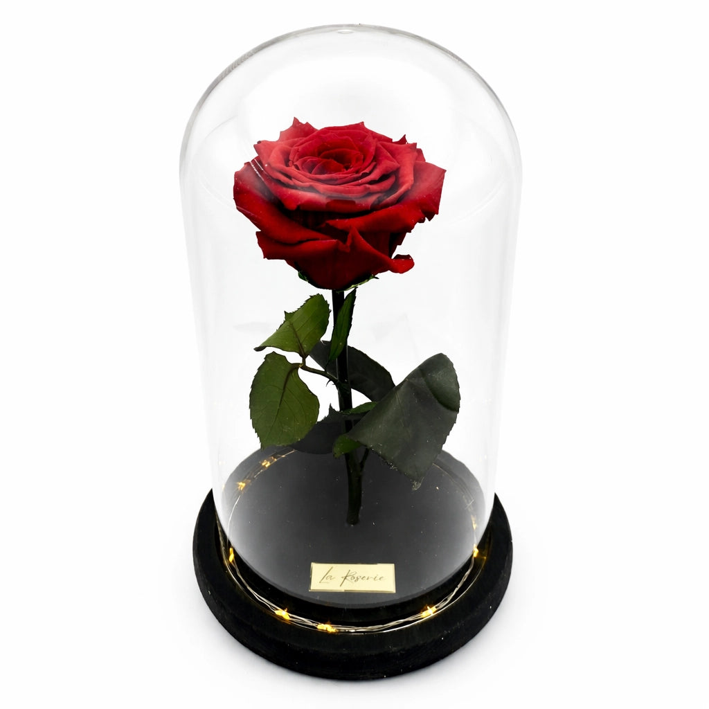 örökrózsa üvegbúrában