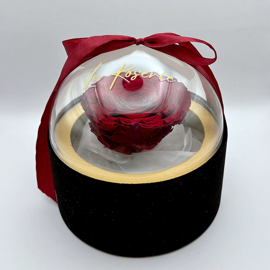 nagyfejű vörös örökrózsa bársony dobozban